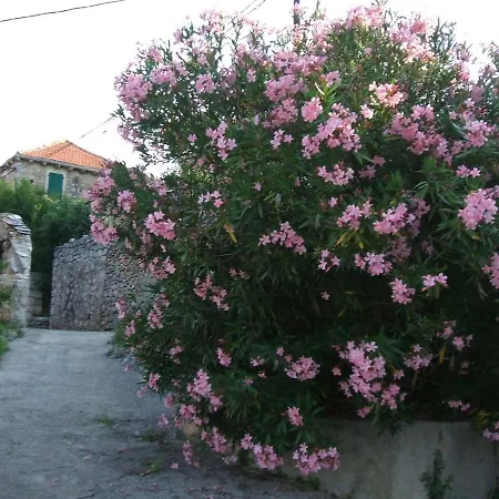 Holiday home House Pod Humom Jelsa (Hvar)